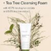Mary&May Houttuynia Cordata + Tea Tree Deep Clean Foam - Pore Cleansing, Skin Trouble Care, Soothing Hydration - Korean Skincare, EWG Green Grade, Hypoallergenic, 5.07 fl oz