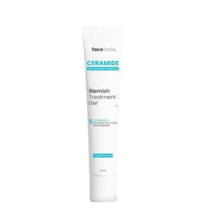 Facefacts Ceramide Blemish Treatment Gel 5 Ceramide + Salicylic Acid + Niacinamide 50ML/1.69FL OZ