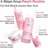Anua Peach 77 Niacin Essence Toner 250ml / Brightening Toner for Face, Niacinamide, Panthenol, Ceramides, Facial Toner for Glass Skin, Korean Skin Care (8.45 fl.oz.)