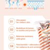 MAY ISLAND 7 Days Secret Vita Plus Sleeping Mask - Korean Overnight Mask with Sea Buckthorn Extract & Niacinamide - Revitalizing & Nourishing - Single-Use Pouches. 0.17oz. x 12 Pack
