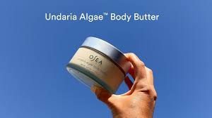 qrrrrr OSEA Undaria Algae™ Body Butter 1.7oz - For Dry Skin - Ultra Hydrating Whipped Shea Butter + Ceramides - Vagan Skincare & Clean Bodycare - Thick Body Cream - For Extremely Dry Crepey Skin 49g