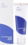 Isntree Hyaluronic Acid Moist Cream 100Ml /3.38 Fl Oz