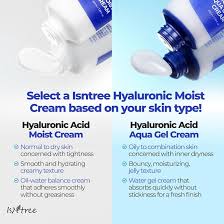isntree hyaluronic acid moist cream 100ml /3.38 fl oz