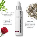 Dermalogica Antioxidant Hydramist 5.1 Fl Oz /150Ml