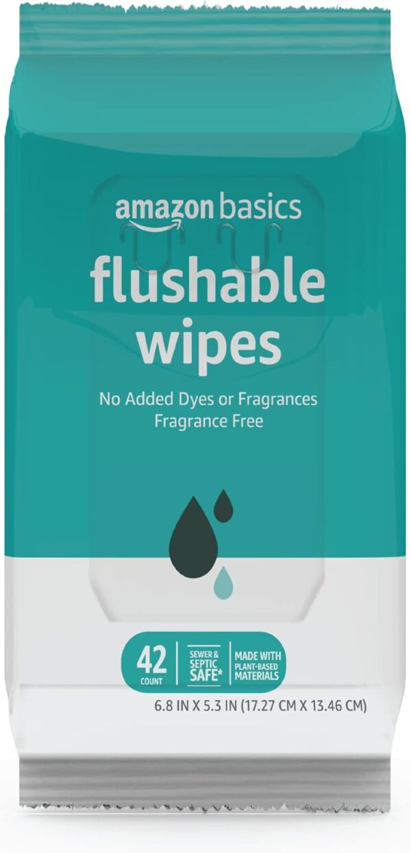 Amazon Basics Flushable Wipes (42 Wipes)